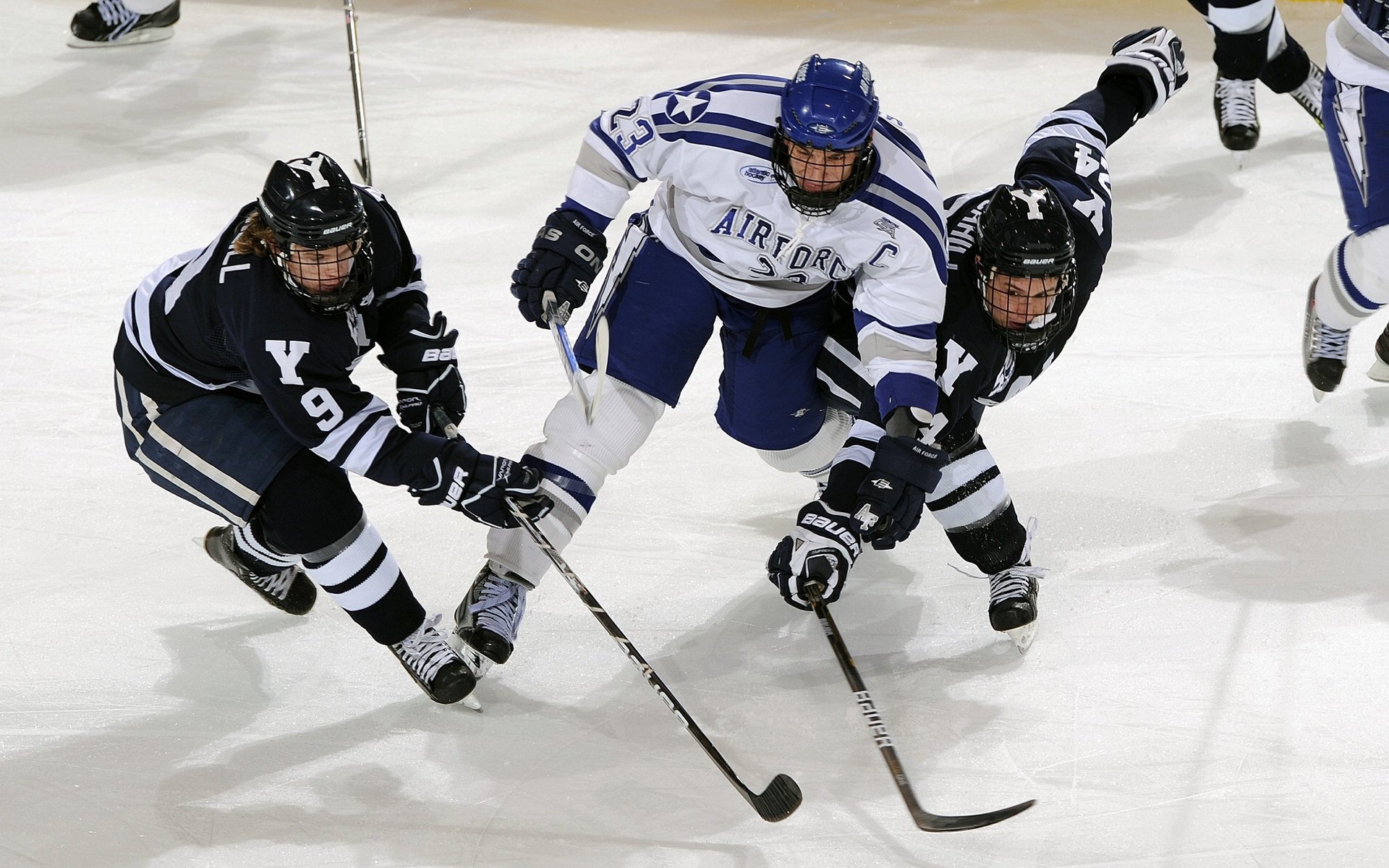 洛杉矶FC主场迎战西雅图海湾人，备受关注，洛杉矶fc对西雅图海湾人